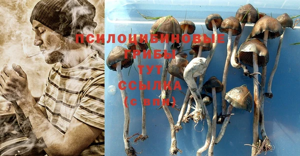 героин Алексин