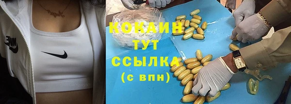 шишки Ростов