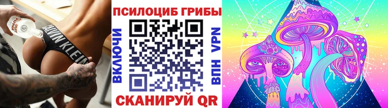 Псилоцибиновые грибы ЛСД Грязовец