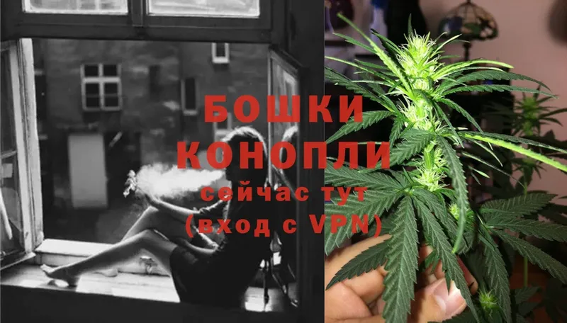 Бошки марихуана SATIVA & INDICA  ссылка на мегу как войти  Грязовец 